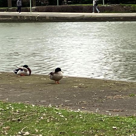 Appartement Sur Et Garage Au Stade De France A 2 Mn De Paris, 20 De Roissy Cdg Et 30 De La Defense Animaux Bienvenus Saint-Denis  Esterno foto